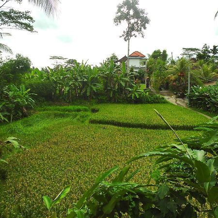 Mandala Hostel Ubud 외부 사진