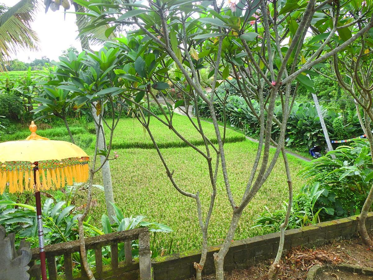 Mandala Hostel Ubud 외부 사진