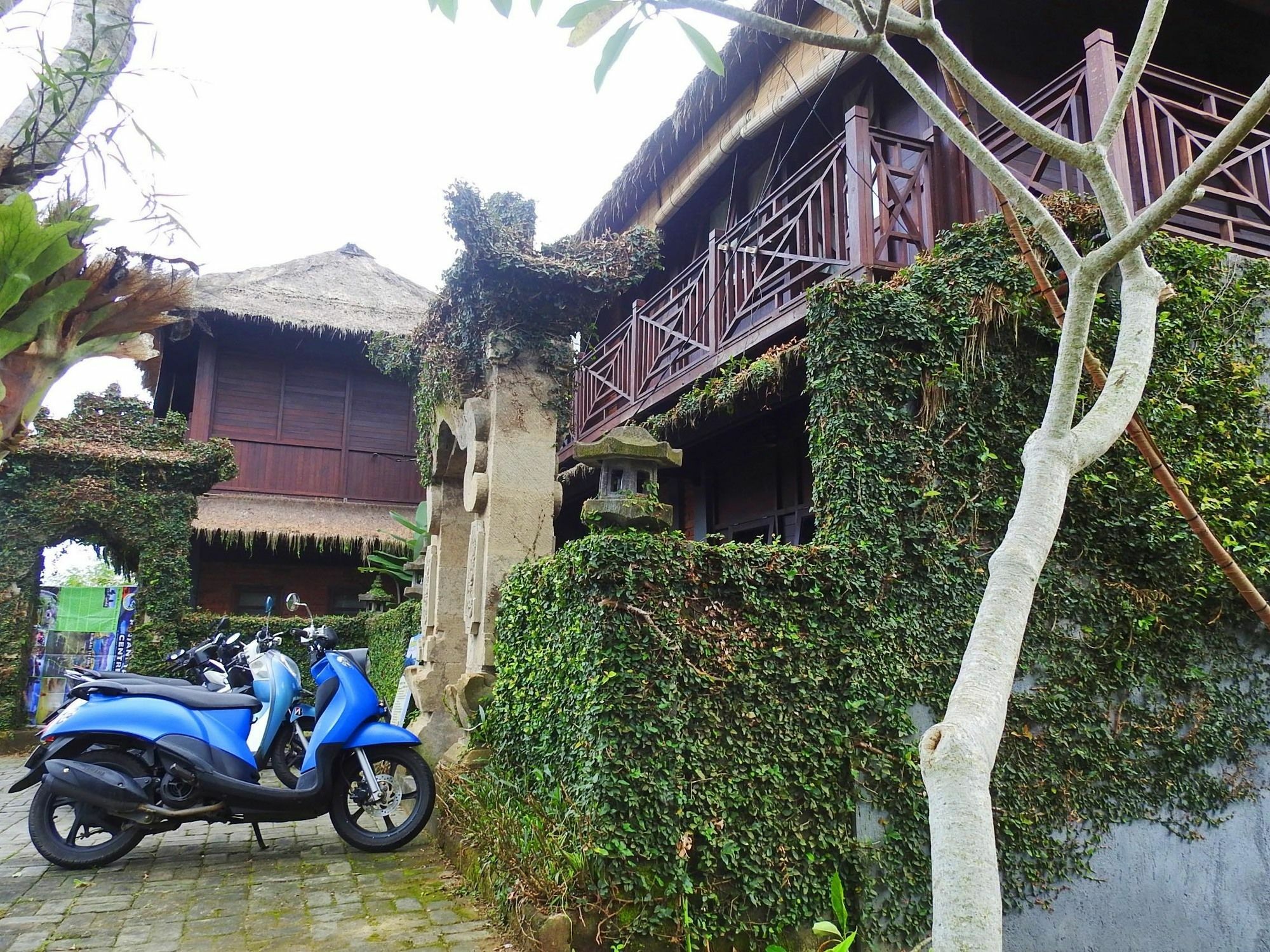 Mandala Hostel Ubud 외부 사진